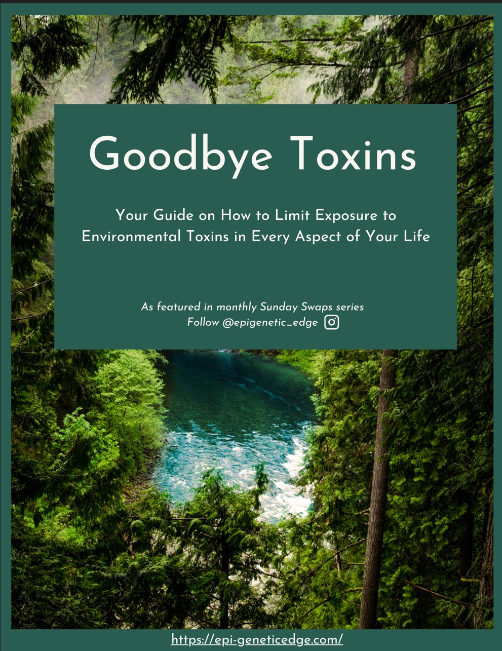 Goodbye Toxins Guide cover